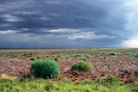 Western Australia