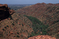 Central Australia - Kings Canyon Walk