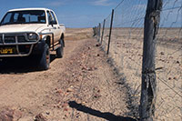 Australia - Dingo Fence, Dog Fence 5412 km lang