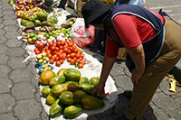 Ecuador - Quito