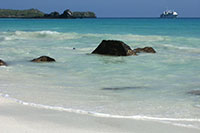 Galapagos - Meerechse bei der Gardner-Bucht auf der Insel Espanola