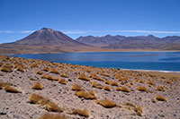 Chile - Laguna Miscanti und im Hintergrund der Gipfel des Cerro Miscanti 5622m ü.M.