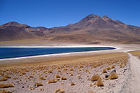 Chile - Die Lagune Miscanti! Im Hintergrund der Cerro Miniques