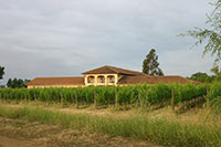 Chile - Vina Chillan