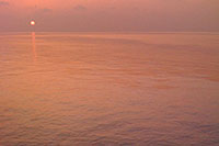 Malediven - Vilamendhoo 2011