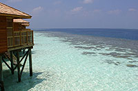 Malediven - Vilamendhoo 2011