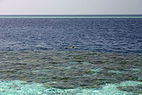 Malediven - Vilamendhoo 2011