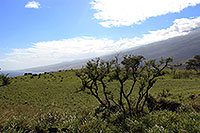 Hawaii - Maui - Piilani Hwy