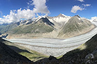 Wallis - Gommer