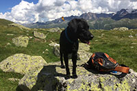 Wallis - Spielsee