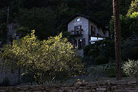 Tessin - Ponte Brolla