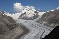 Wallis - Gommer
