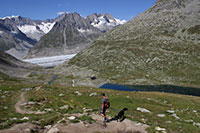 Wallis - Gommer