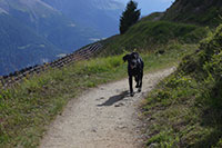 Wallis - Gommer