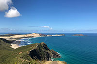 Neuseeland - Cape Reinga