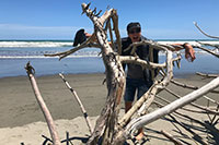 Neuseeland - Himatangi Beach