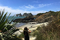 Neuseeland - Wharariki Beach via Dune