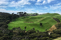 Neuseeland - Wharariki Beach 