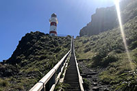 Neuseeland - Cape Palliser - Southernmost Point On The North Island