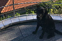 Tessin - Orselina