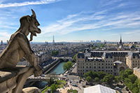 Paris - Kathedrale Notre-Dame